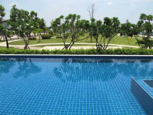 สระว่ายน้ำ ส่วนกลางของโครงการ - บ้านวนาทะเลเเก้ว พิษณุโลก